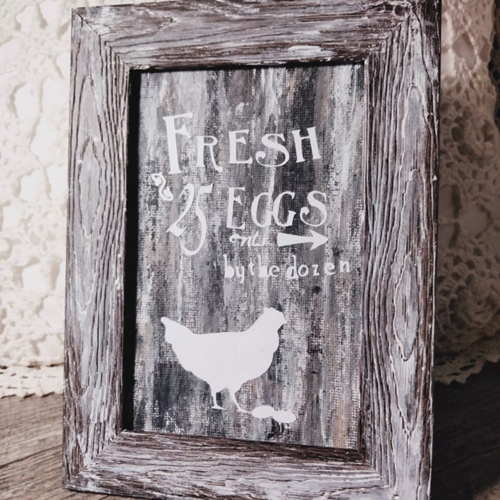 Chicken Eggs Picture 4x6